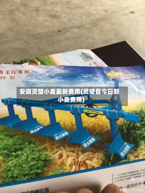 安徽灵璧小麦最新费用(灵璧县今日新小麦费用)-第3张图片