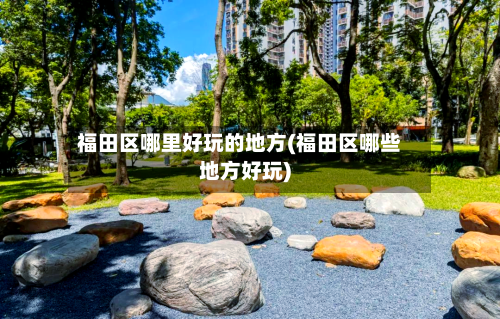 福田区哪里好玩的地方(福田区哪些地方好玩)