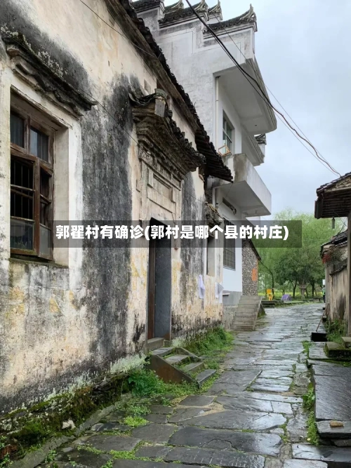 郭翟村有确诊(郭村是哪个县的村庄)-第2张图片