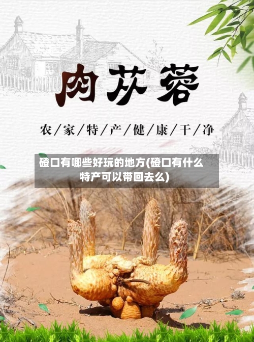 磴口有哪些好玩的地方(磴口有什么特产可以带回去么)-第2张图片