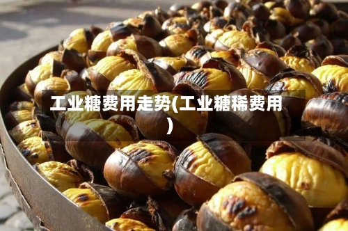 工业糖费用走势(工业糖稀费用)