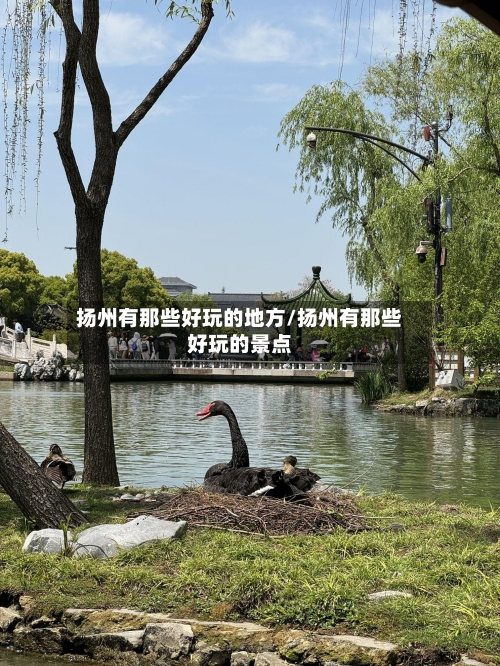 扬州有那些好玩的地方/扬州有那些好玩的景点