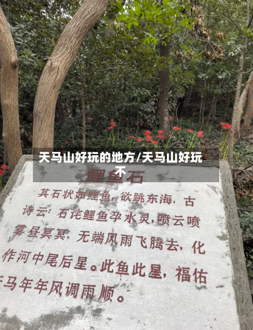 天马山好玩的地方/天马山好玩不-第2张图片