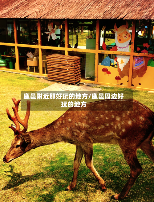 鹿邑附近那好玩的地方/鹿邑周边好玩的地方-第2张图片