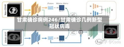 甘肃确诊病例246/甘肃确诊几例新型冠状病毒