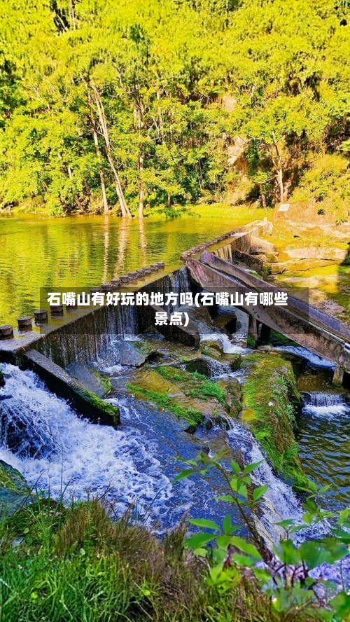 石嘴山有好玩的地方吗(石嘴山有哪些景点)-第2张图片