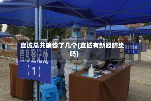 宣城总共确诊了几个(宣城有新冠肺炎吗)