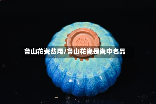 鲁山花瓷费用/鲁山花瓷是瓷中名品-第3张图片