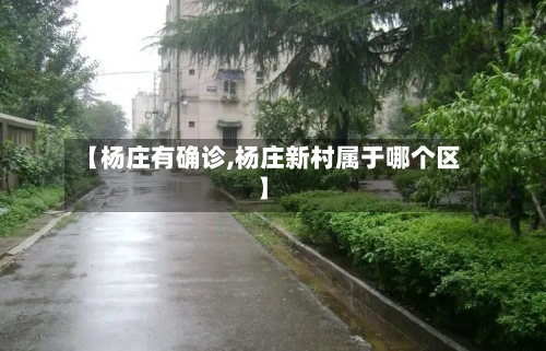 【杨庄有确诊,杨庄新村属于哪个区】