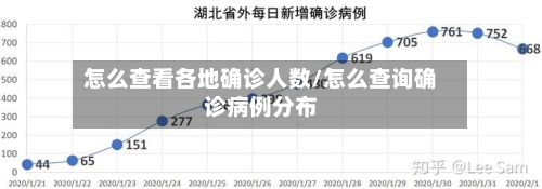 怎么查看各地确诊人数/怎么查询确诊病例分布