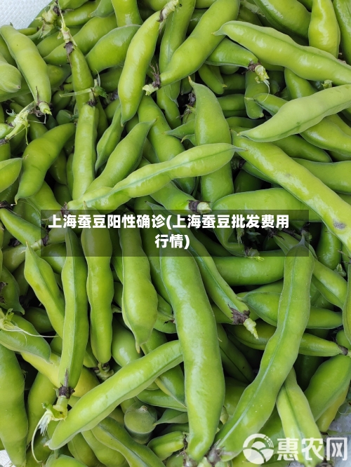 上海蚕豆阳性确诊(上海蚕豆批发费用行情)-第2张图片
