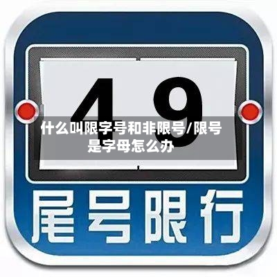 什么叫限字号和非限号/限号是字母怎么办