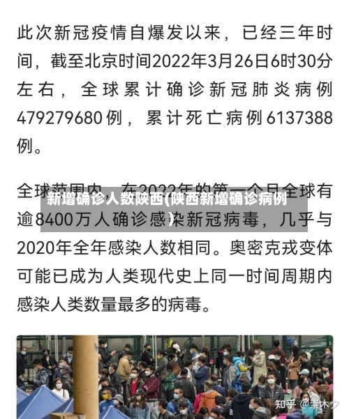 新增确诊人数陕西(陕西新增确诊病例)