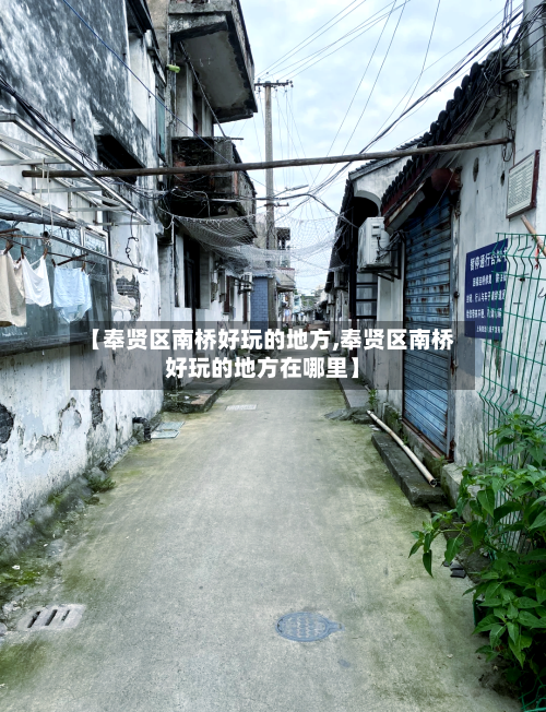 【奉贤区南桥好玩的地方,奉贤区南桥好玩的地方在哪里】