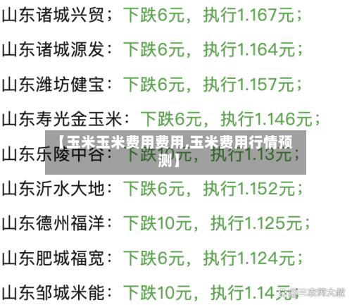 【玉米玉米费用费用,玉米费用行情预测】
