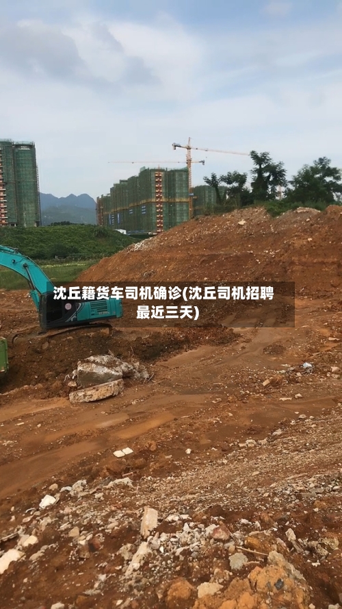 沈丘籍货车司机确诊(沈丘司机招聘最近三天)-第2张图片