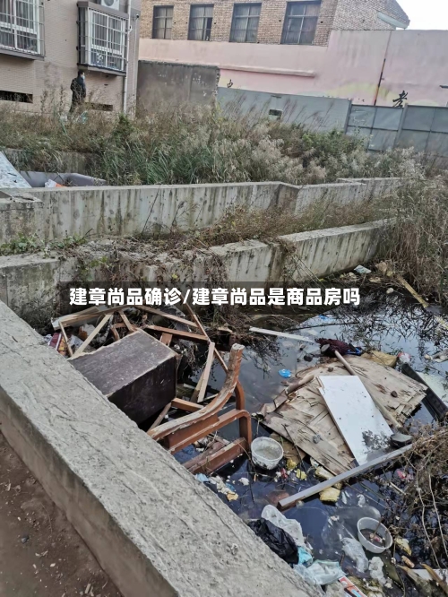 建章尚品确诊/建章尚品是商品房吗-第2张图片