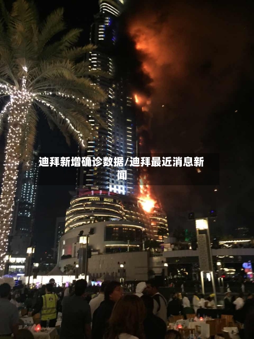 迪拜新增确诊数据/迪拜最近消息新闻-第2张图片