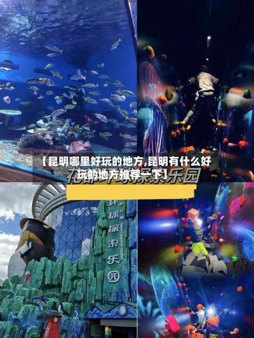 【昆明哪里好玩的地方,昆明有什么好玩的地方推荐一下】