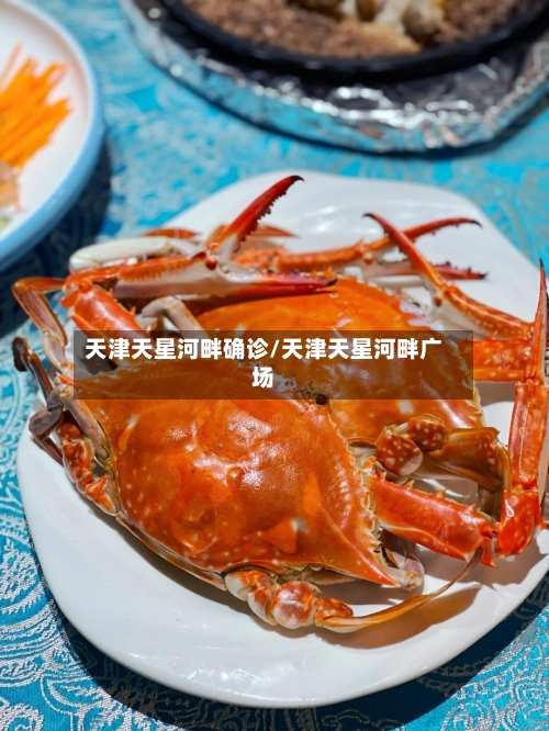 天津天星河畔确诊/天津天星河畔广场