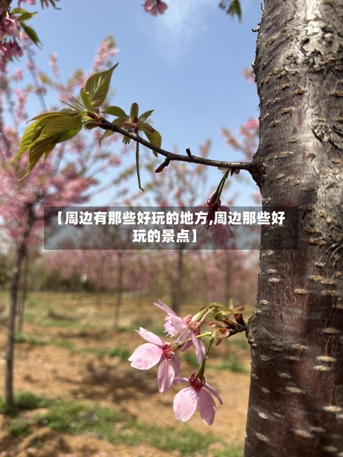 【周边有那些好玩的地方,周边那些好玩的景点】-第2张图片