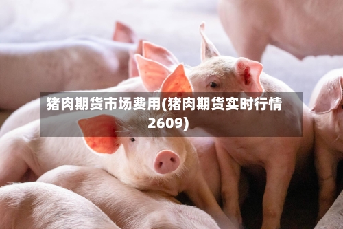 猪肉期货市场费用(猪肉期货实时行情2609)