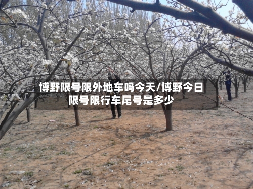 博野限号限外地车吗今天/博野今日限号限行车尾号是多少
