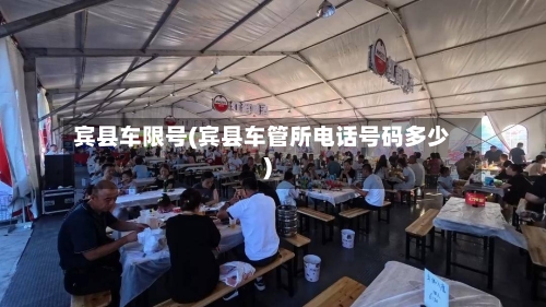 宾县车限号(宾县车管所电话号码多少)-第2张图片