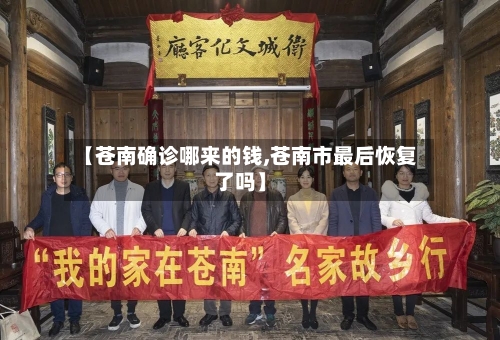 【苍南确诊哪来的钱,苍南市最后恢复了吗】-第2张图片