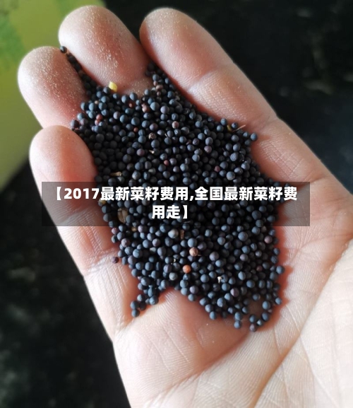 【2017最新菜籽费用,全国最新菜籽费用走】-第2张图片