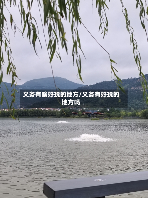 义务有啥好玩的地方/义务有好玩的地方吗