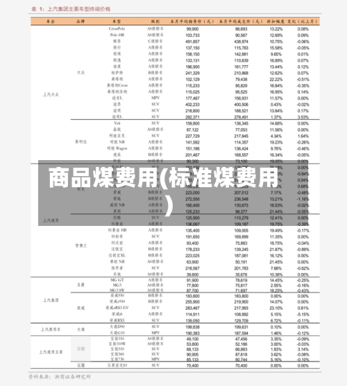 商品煤费用(标准煤费用)