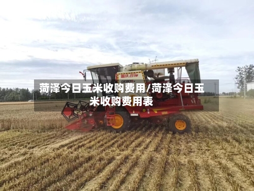 菏泽今日玉米收购费用/菏泽今日玉米收购费用表