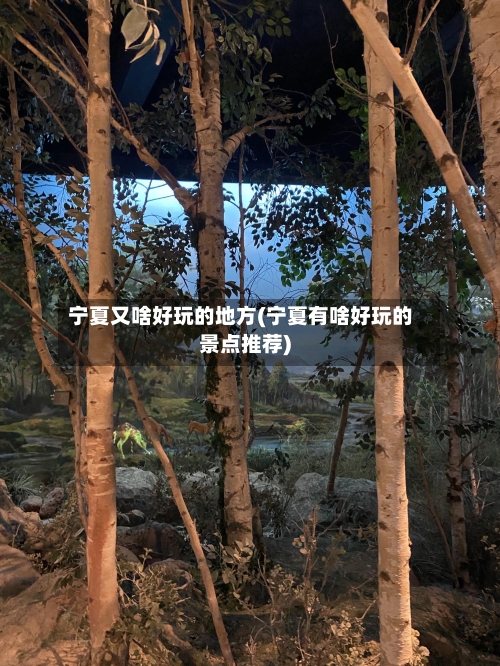 宁夏又啥好玩的地方(宁夏有啥好玩的景点推荐)-第2张图片