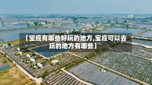 【宝应有哪些好玩的地方,宝应可以去玩的地方有哪些】-第2张图片