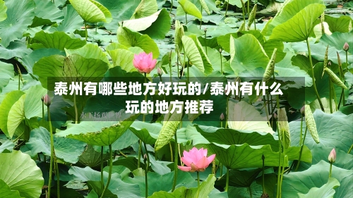 泰州有哪些地方好玩的/泰州有什么玩的地方推荐-第2张图片