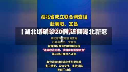 【湖北增确诊20例,近期湖北新冠】-第3张图片