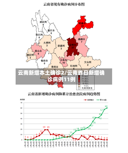 云南新增本土确诊2/云南昨日新增确诊病例11例
