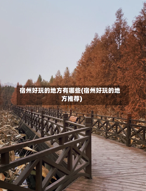 宿州好玩的地方有哪些(宿州好玩的地方推荐)