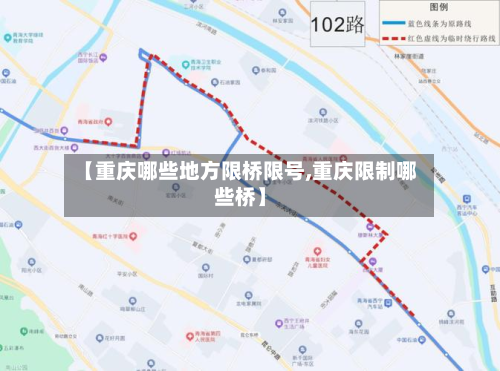【重庆哪些地方限桥限号,重庆限制哪些桥】