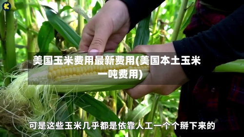 美国玉米费用最新费用(美国本土玉米一吨费用)