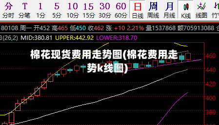 棉花现货费用走势图(棉花费用走势k线图)