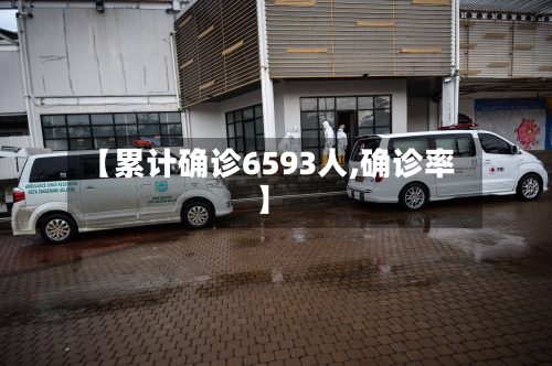 【累计确诊6593人,确诊率】