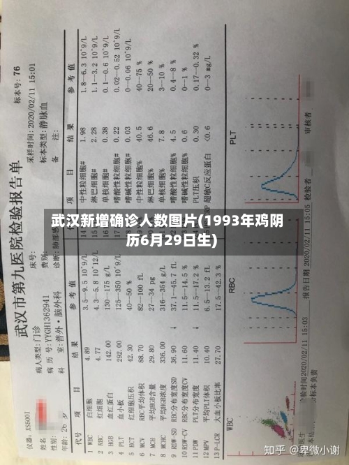 武汉新增确诊人数图片(1993年鸡阴历6月29日生)