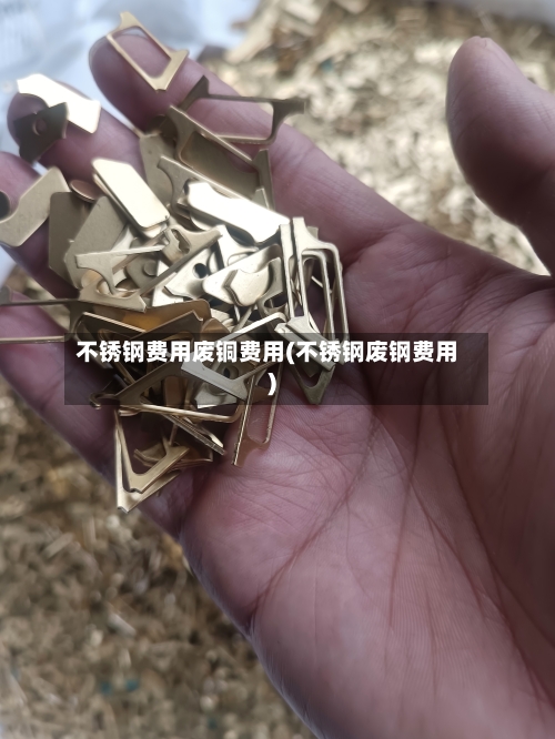 不锈钢费用废铜费用(不锈钢废钢费用)