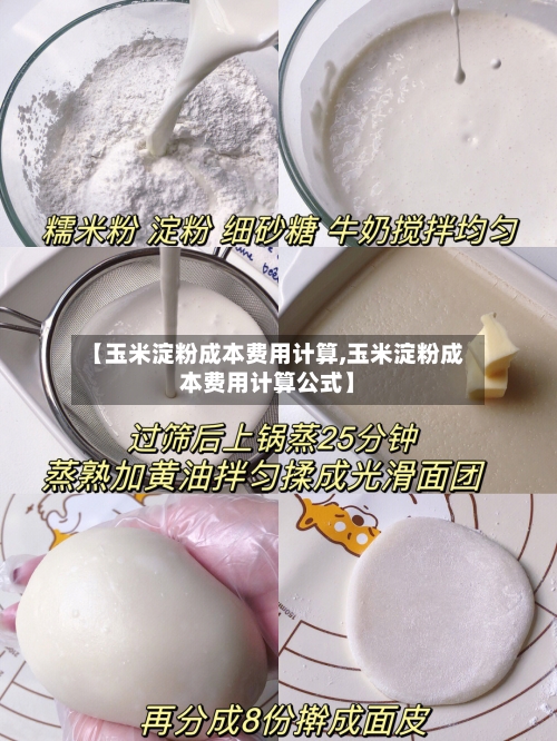 【玉米淀粉成本费用计算,玉米淀粉成本费用计算公式】