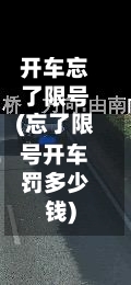 开车忘了限号(忘了限号开车罚多少钱)