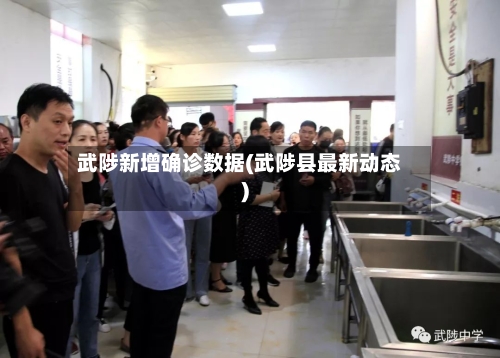 武陟新增确诊数据(武陟县最新动态)