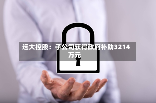 远大控股：子公司获得政府补助3214万元