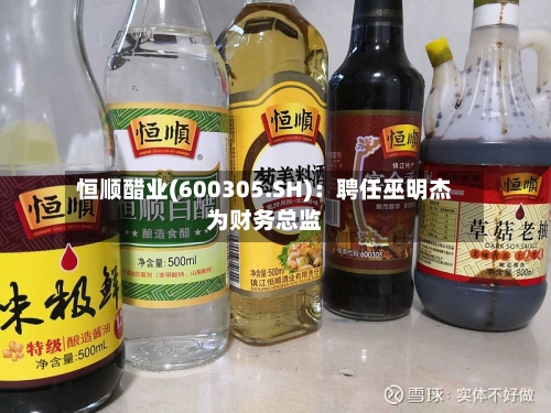 恒顺醋业(600305.SH)：聘任巫明杰为财务总监-第2张图片